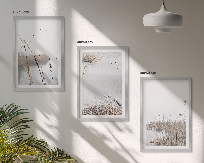 Bilder-3er-set mit rahmen Wasserpflanzen im Sommer