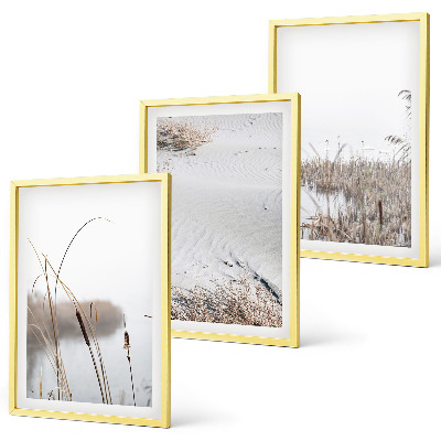 Bilder-3er-set mit rahmen Wasserpflanzen im Sommer