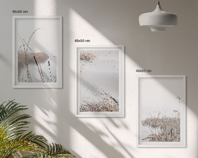 Bilder-3er-set mit rahmen Wasserpflanzen im Sommer