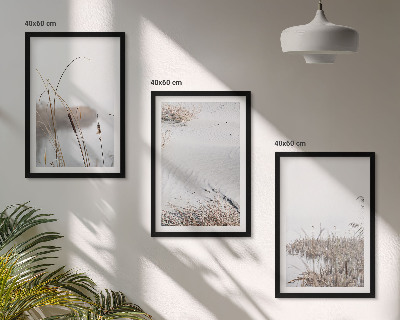 Bilder-3er-set mit rahmen Wasserpflanzen im Sommer