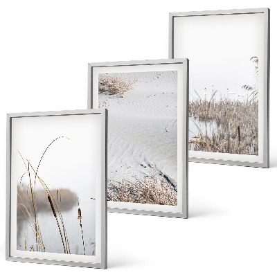 Bilder-3er-set mit rahmen Wasserpflanzen im Sommer