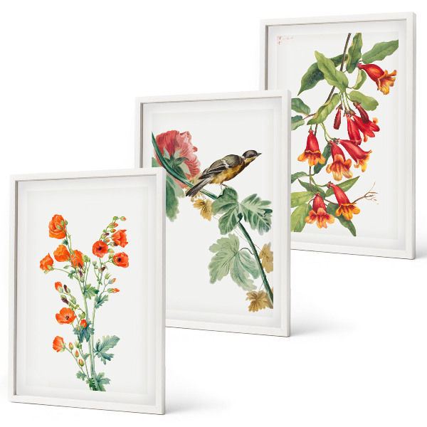 Bilder-3er-set mit rahmen Gemalte Blumen und ein Vogel