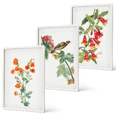 Gemalte Blumen und ein Vogel 3er-Set Bilder mit Rahmen