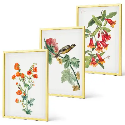 Gemalte Blumen und ein Vogel 3er-Set Bilder mit Rahmen