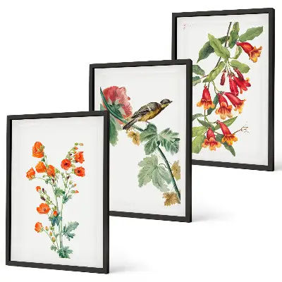 Gemalte Blumen und ein Vogel 3er-Set Bilder mit Rahmen