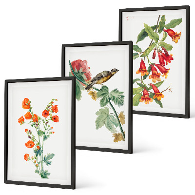 Bilder-3er-set mit rahmen Gemalte Blumen und ein Vogel