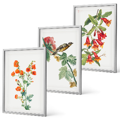 Bilder-3er-set mit rahmen Gemalte Blumen und ein Vogel