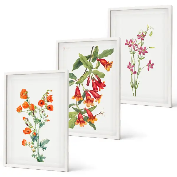 Gerahmtes Bilderset mit Vintage-Retro-Blumenmalerei