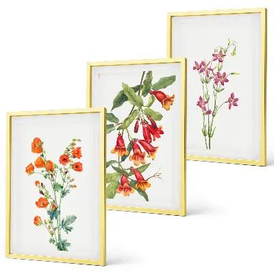 Gerahmtes Bilderset mit Vintage-Retro-Blumenmalerei
