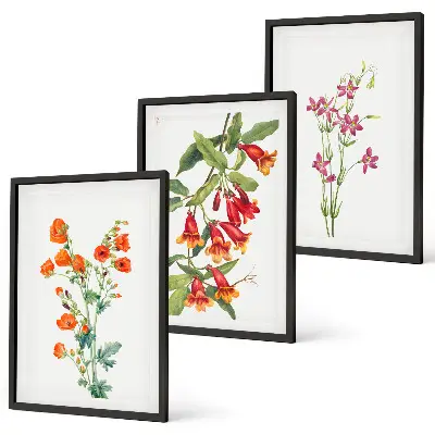 Gerahmtes Bilderset mit Vintage-Retro-Blumenmalerei