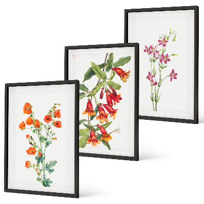 Gerahmtes bilderset Vintage-Retro-Blumenmalerei