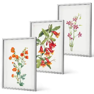 Gerahmtes Bilderset mit Vintage-Retro-Blumenmalerei