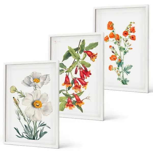 Retro-Blumenarrangements Bilder-3er-Set mit Rahmen