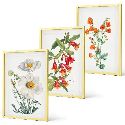 Retro-Blumenarrangements Bilder-3er-Set mit Rahmen