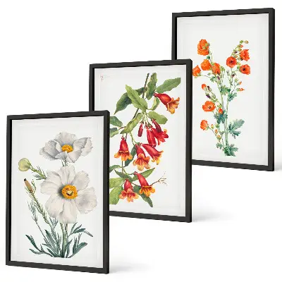 Retro-Blumenarrangements Bilder-3er-Set mit Rahmen