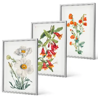 Retro-Blumenarrangements Bilder-3er-Set mit Rahmen