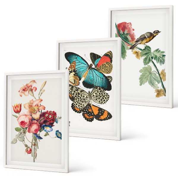 Gerahmtes bilderset Blumen, Schmetterlinge, Vögel, Pastellfarben