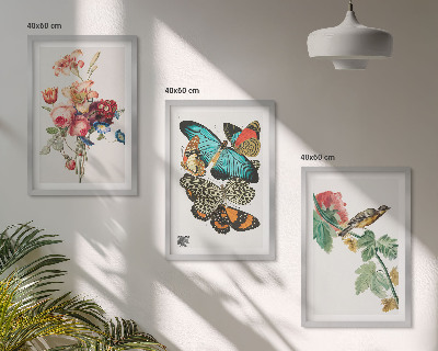 Gerahmtes bilderset Blumen, Schmetterlinge, Vögel, Pastellfarben