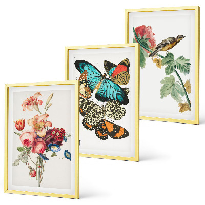 Gerahmtes bilderset Blumen, Schmetterlinge, Vögel, Pastellfarben