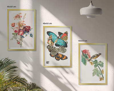 Gerahmtes bilderset Blumen, Schmetterlinge, Vögel, Pastellfarben