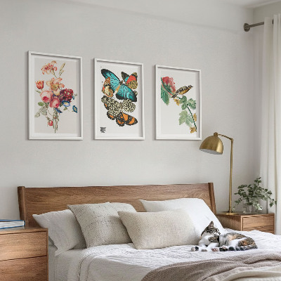 Gerahmtes bilderset Blumen, Schmetterlinge, Vögel, Pastellfarben