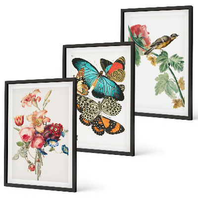 Gerahmtes bilderset Blumen, Schmetterlinge, Vögel, Pastellfarben