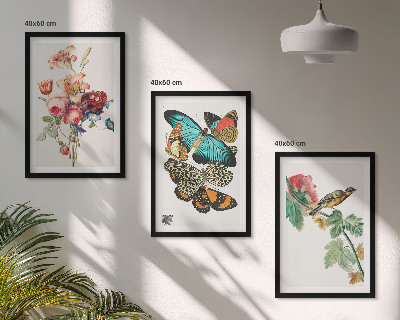 Gerahmtes bilderset Blumen, Schmetterlinge, Vögel, Pastellfarben
