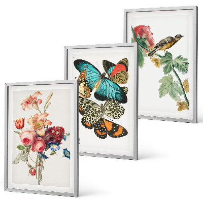 Gerahmtes bilderset Blumen, Schmetterlinge, Vögel, Pastellfarben
