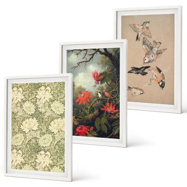 3er-Set Bilder mit Rahmen mit Blumen-, Vogel- und Naturmotiven