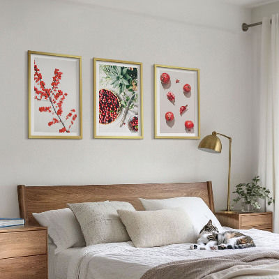 Bilder-3er-set mit rahmen Minimalismus der roten Früchte von Pflanzen