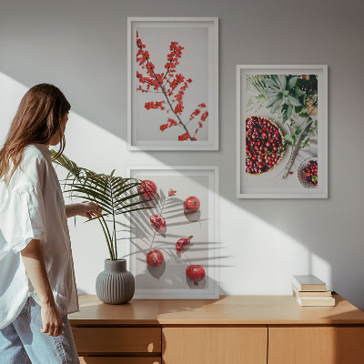 Bilder-3er-set mit rahmen Minimalismus der roten Früchte von Pflanzen