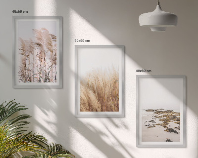 Bilder-3er-set mit rahmen Pampasgrasfelder und ein Boho-Strand