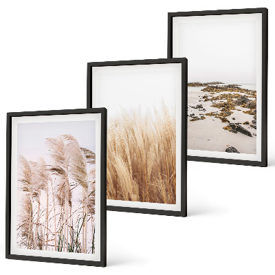 Bilder-3er-set mit rahmen Pampasgrasfelder und ein Boho-Strand