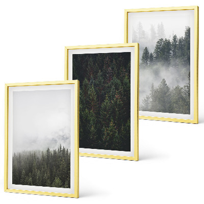 Gerahmtes bilderset Grüne Wälder Nebel Natur