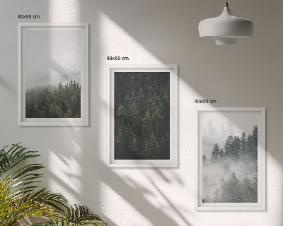 Gerahmtes bilderset Grüne Wälder Nebel Natur