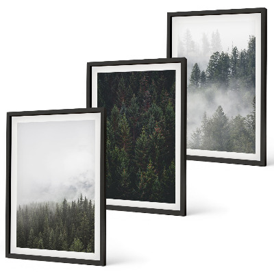 Gerahmtes bilderset Grüne Wälder Nebel Natur