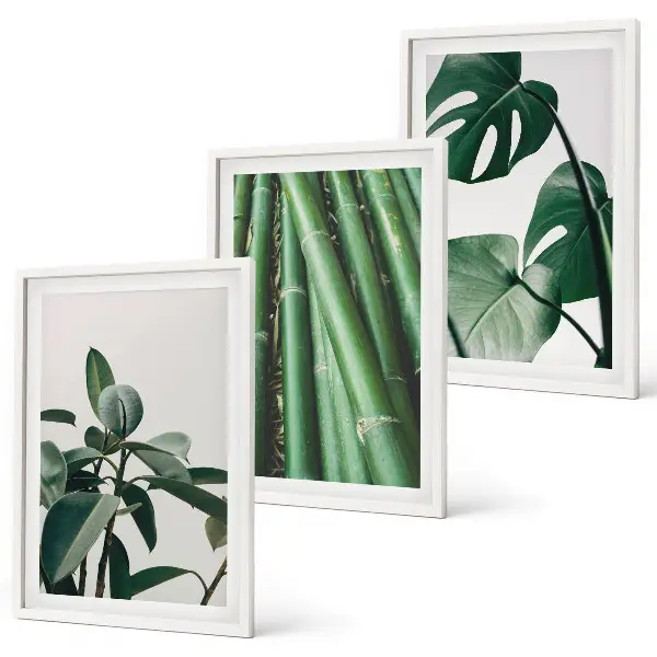 Bambusstängel und Monstera-Blätter Bilder-Set 3er-Set mit Rahmen