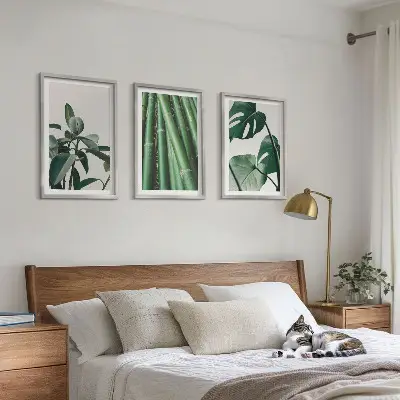 Bambusstängel und Monstera-Blätter Bilder-Set 3er-Set mit Rahmen