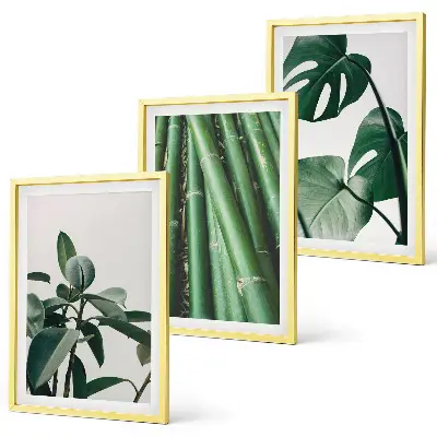 Bambusstängel und Monstera-Blätter Bilder-Set 3er-Set mit Rahmen