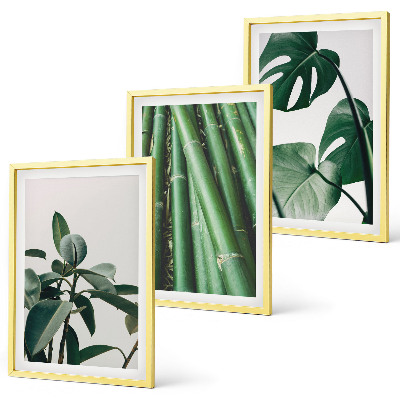 Bilder-3er-set mit rahmen Bambusstängel und Monstera-Blätter