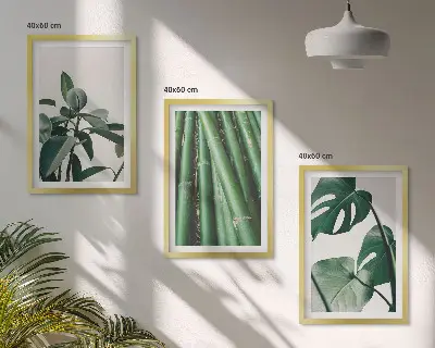 Bambusstängel und Monstera-Blätter Bilder-Set 3er-Set mit Rahmen