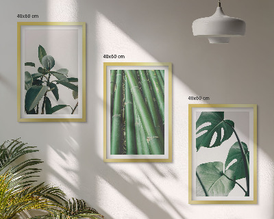 Bilder-3er-set mit rahmen Bambusstängel und Monstera-Blätter
