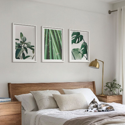 Bilder-3er-set mit rahmen Bambusstängel und Monstera-Blätter