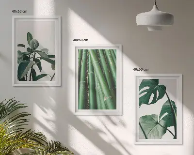 Bambusstängel und Monstera-Blätter Bilder-Set 3er-Set mit Rahmen