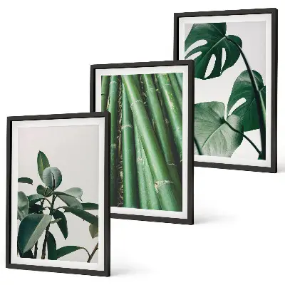 Bambusstängel und Monstera-Blätter Bilder-Set 3er-Set mit Rahmen