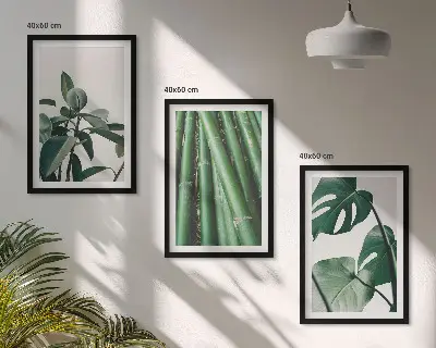 Bambusstängel und Monstera-Blätter Bilder-Set 3er-Set mit Rahmen