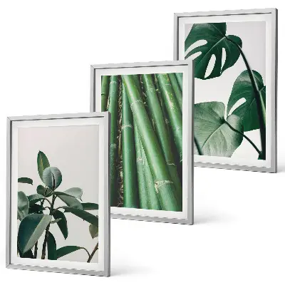 Bambusstängel und Monstera-Blätter Bilder-Set 3er-Set mit Rahmen