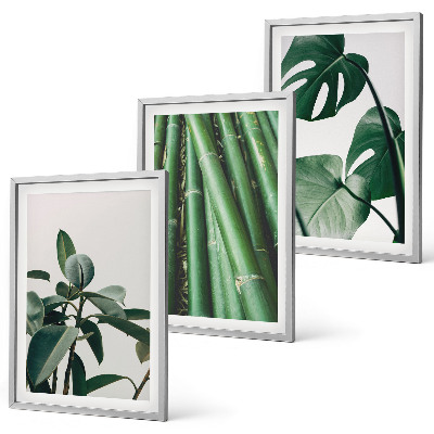 Bilder-3er-set mit rahmen Bambusstängel und Monstera-Blätter