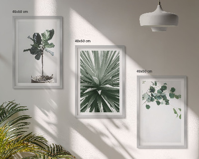 Bilder-3er-set mit rahmen Minimalismus mit grünen Pflanzen