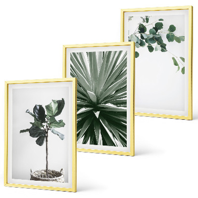 Bilder-3er-set mit rahmen Minimalismus mit grünen Pflanzen